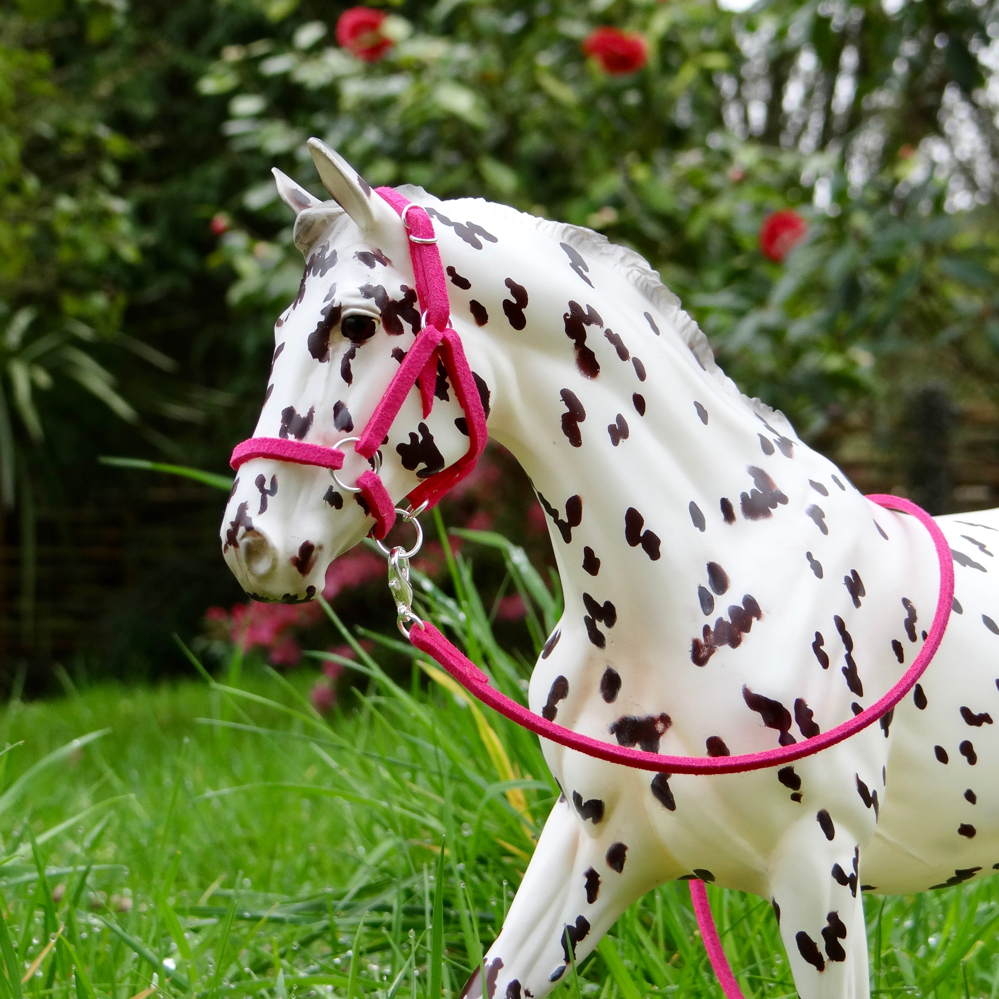 1:9 Halters