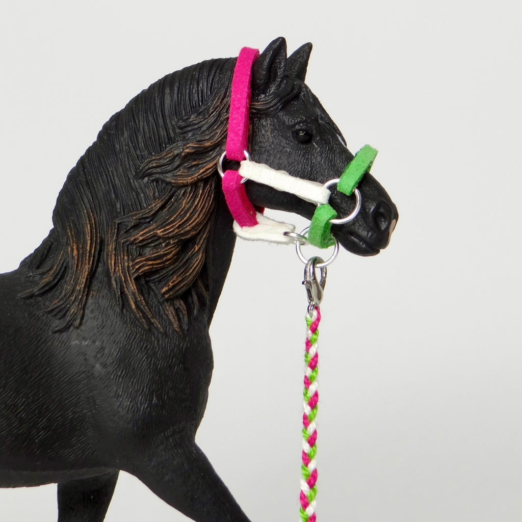 1:24 Three Colour Halter with Braided Lead