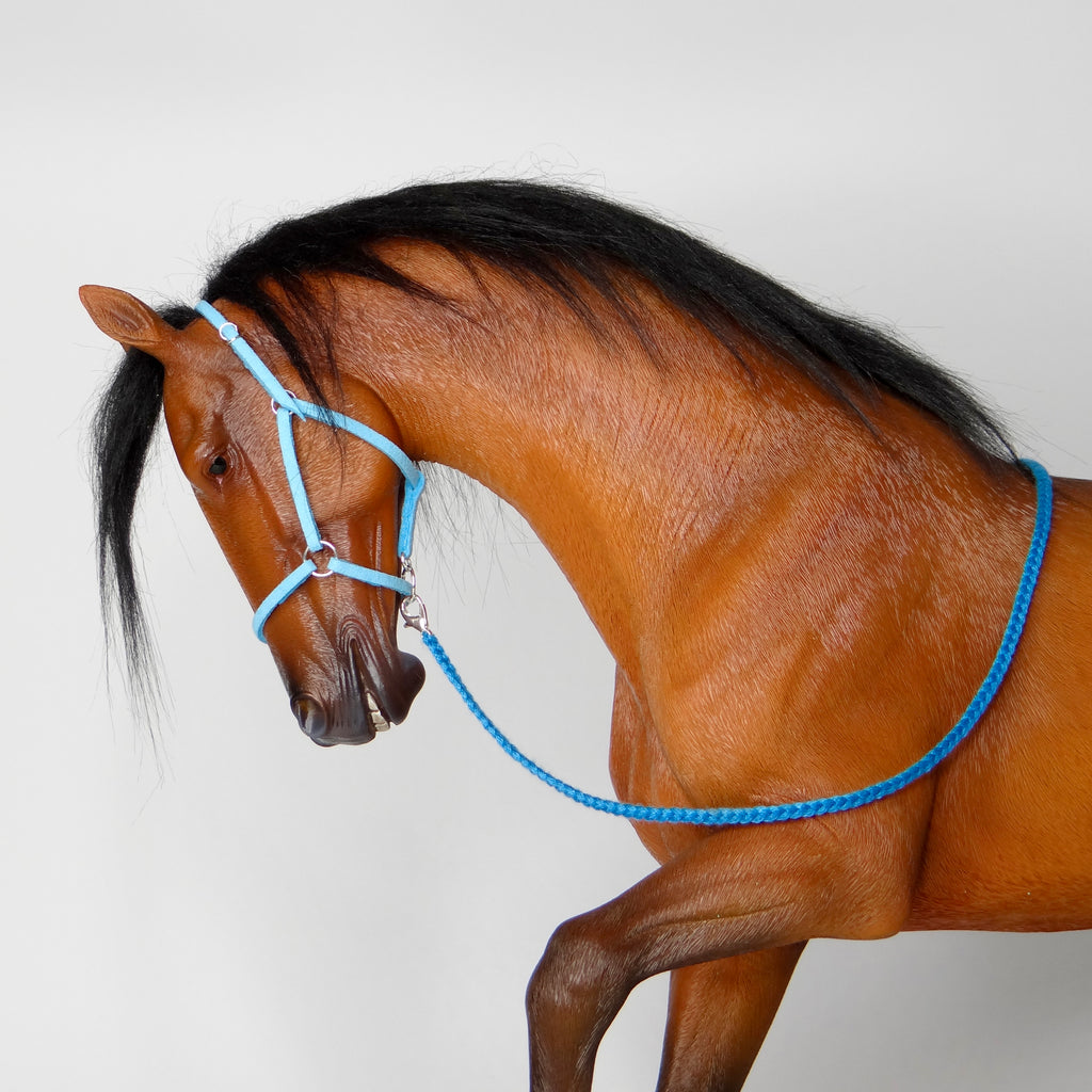 1:6 Turquoise Halter Embroidery Lead