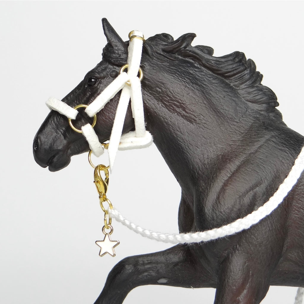 1:24 Halter with Braided Lead Star Charm