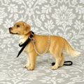 1:24 Dog Collar with Chain Lead