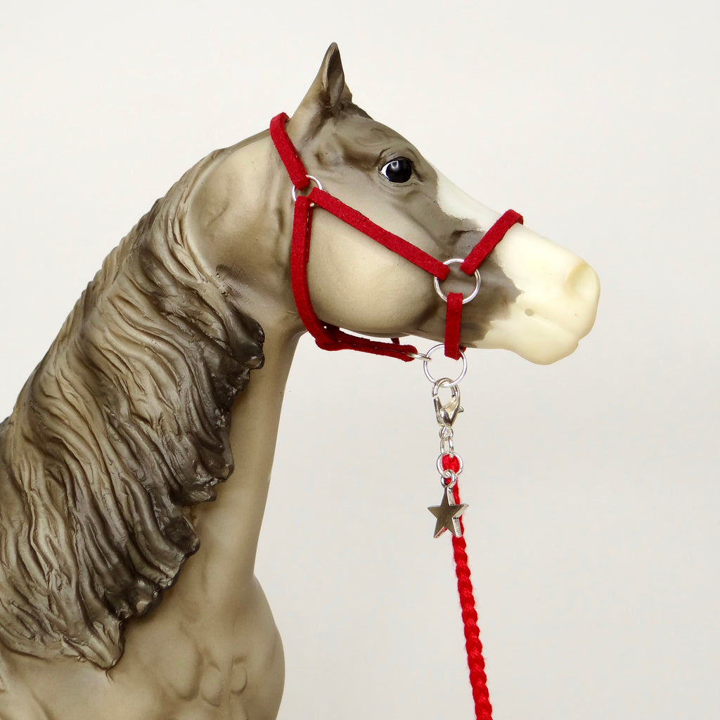 1:9 Halter with Charm