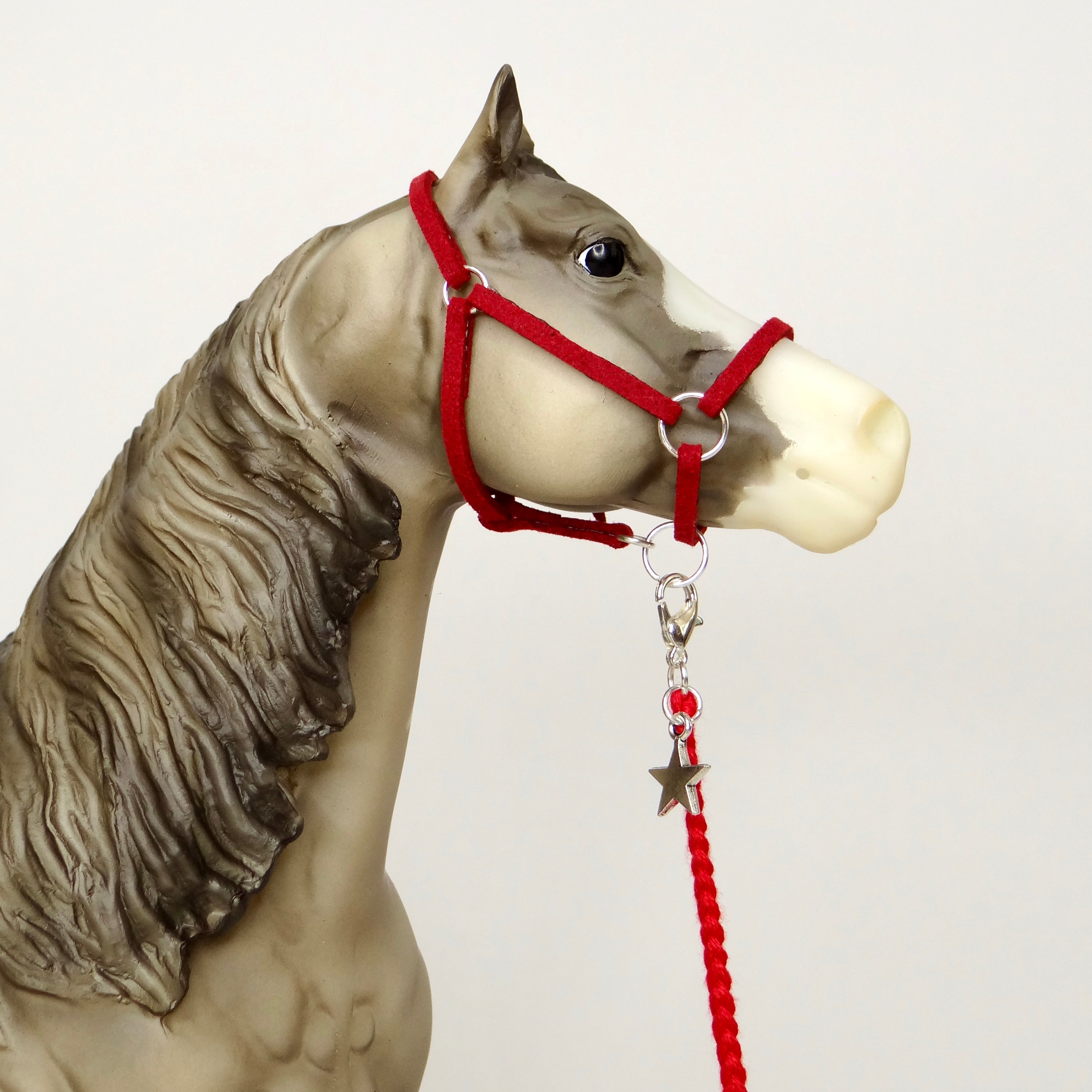 1:9 Halter with Charm