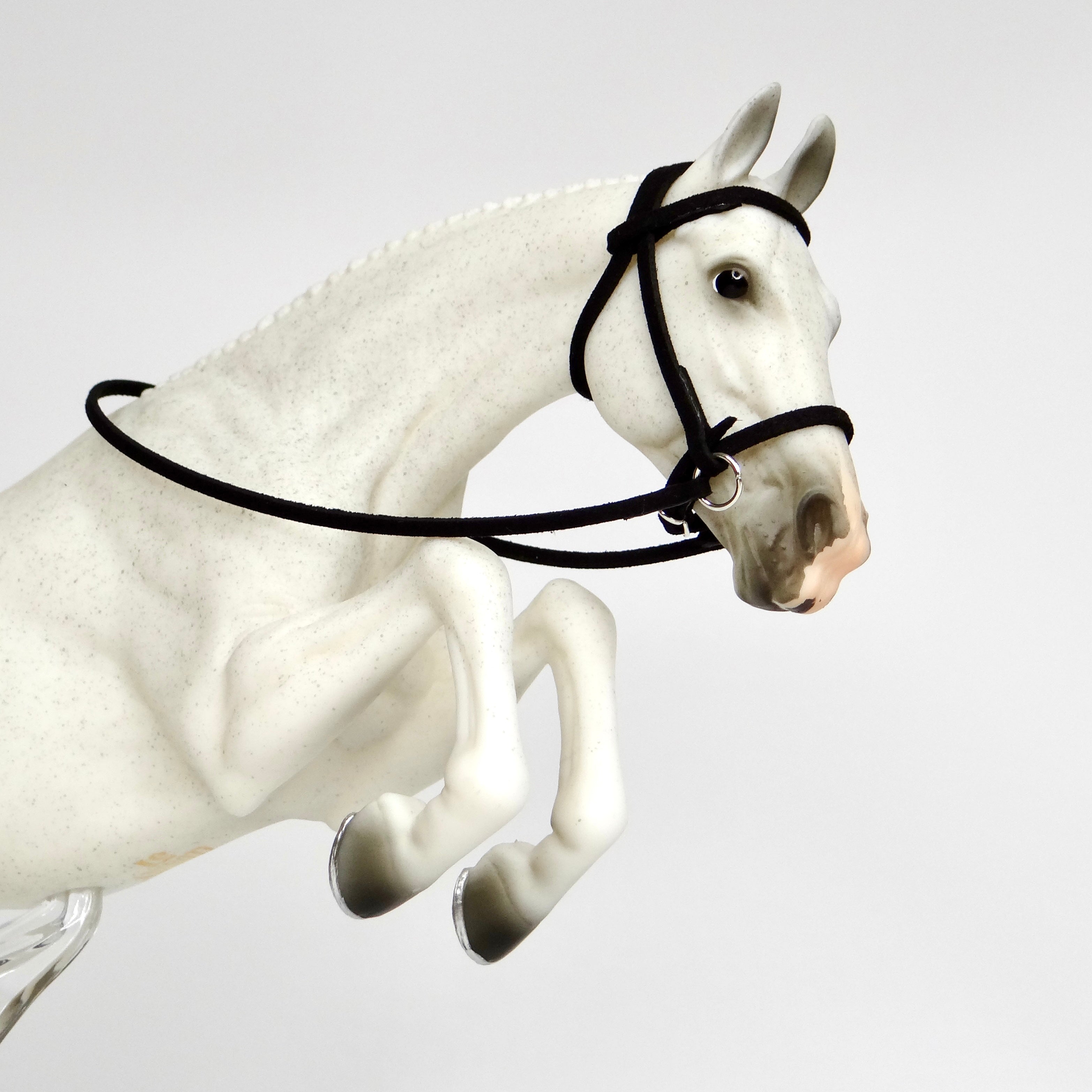 1:9 Simple Bridle
