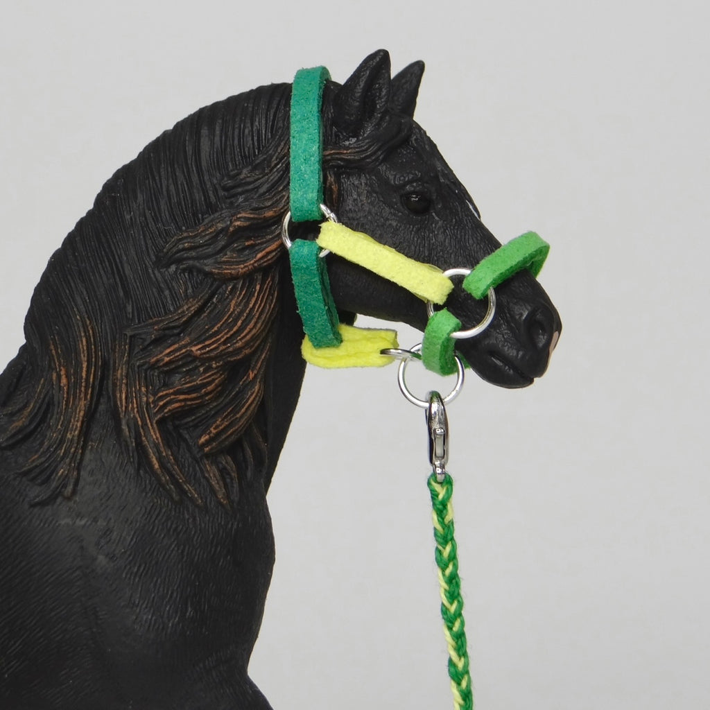 1:24 Multi Colour Halter with Braided Lead