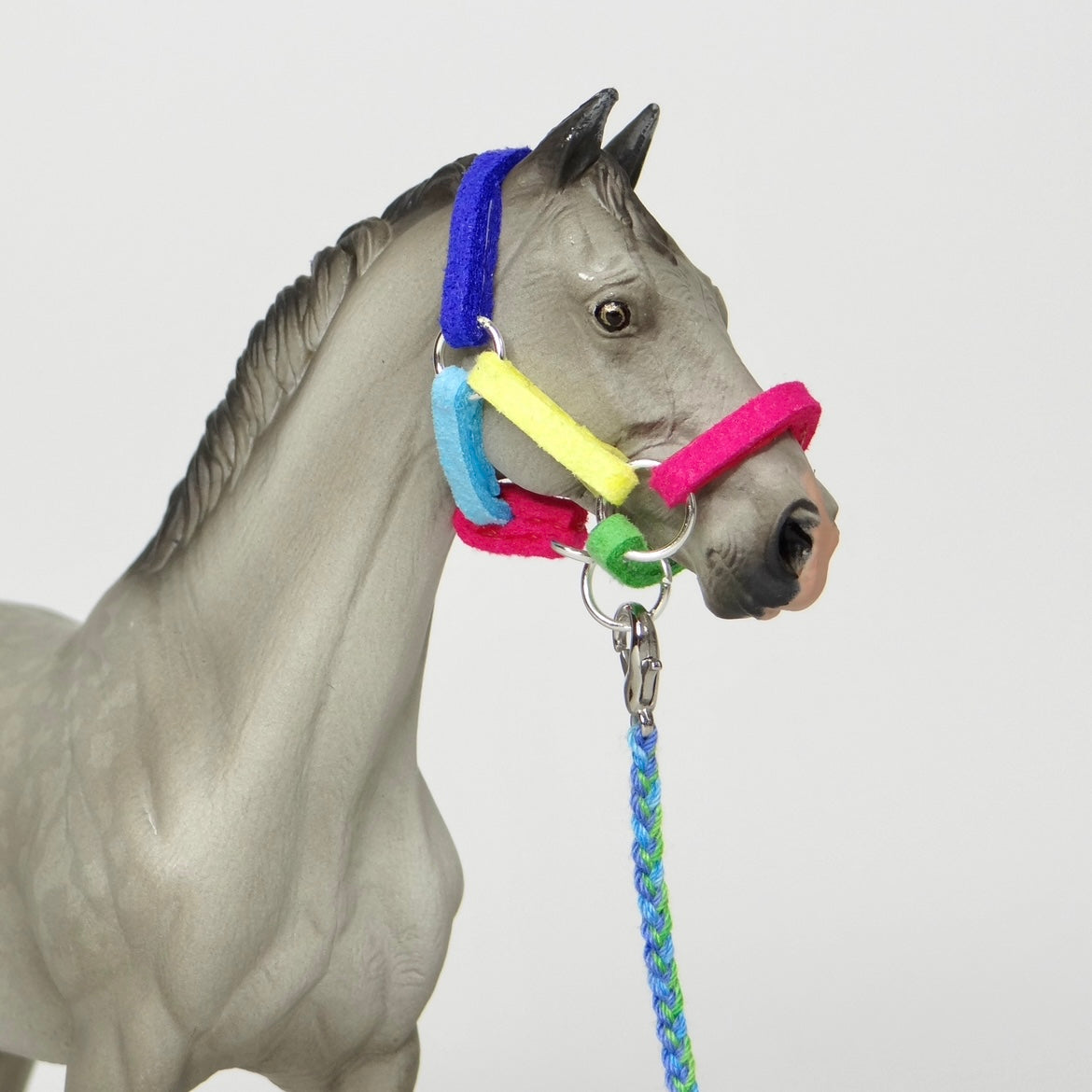 1:24 Multi Colour Halter with Braided Lead