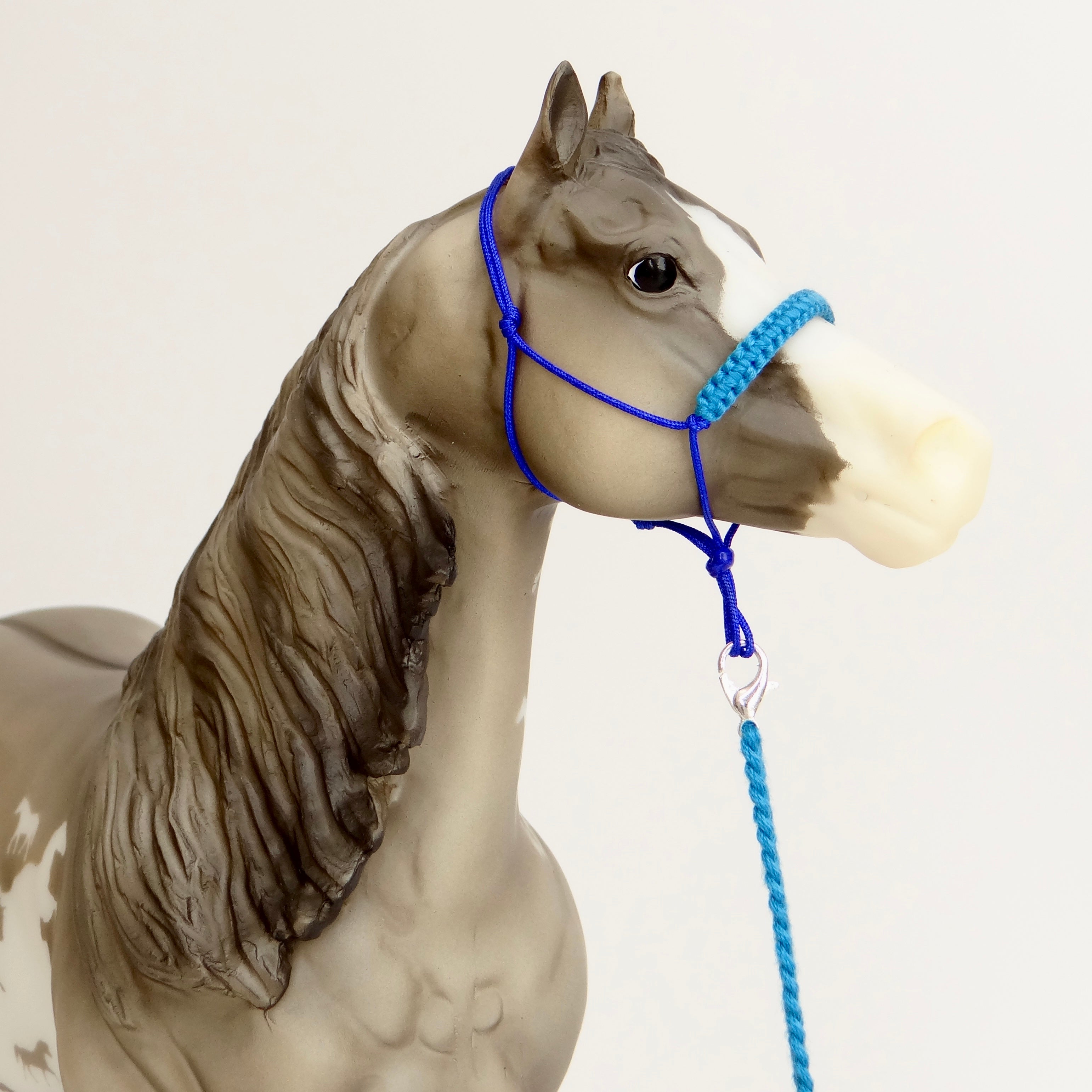 1:9 Rope Halter with Braided Nose/Lead