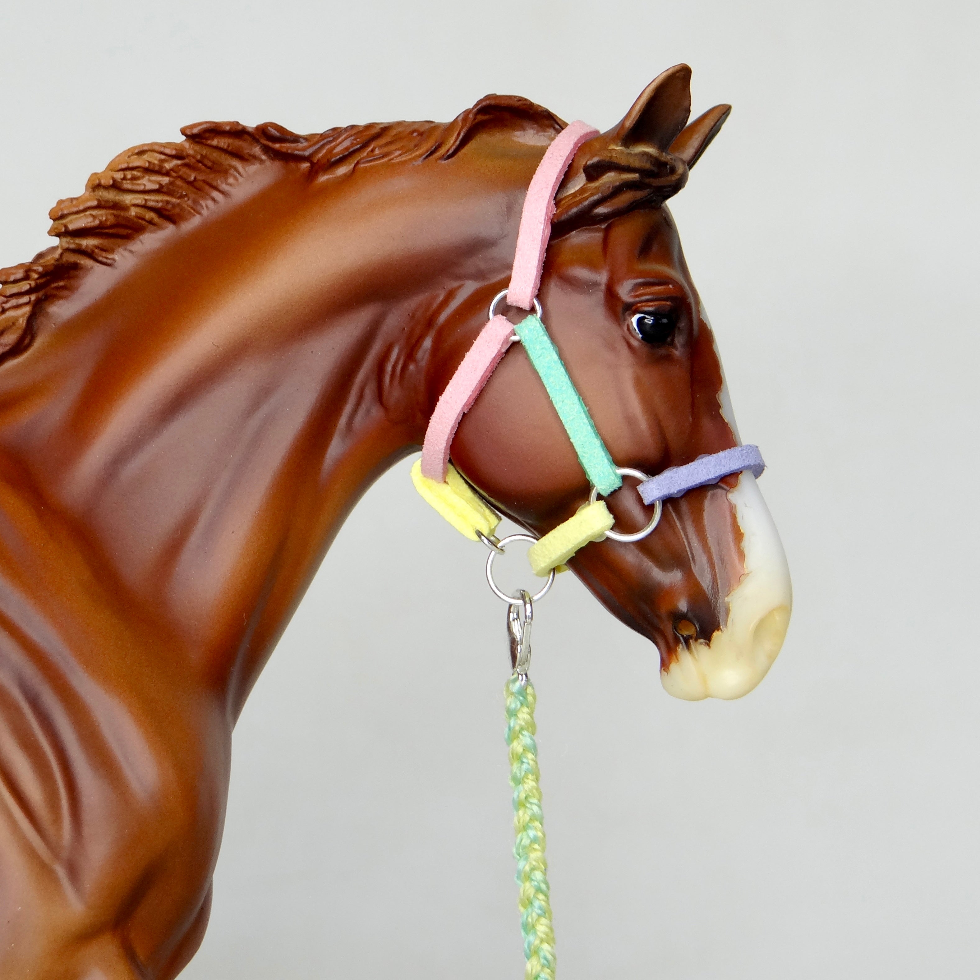 1:9 “Candy Floss” Halter with Lead