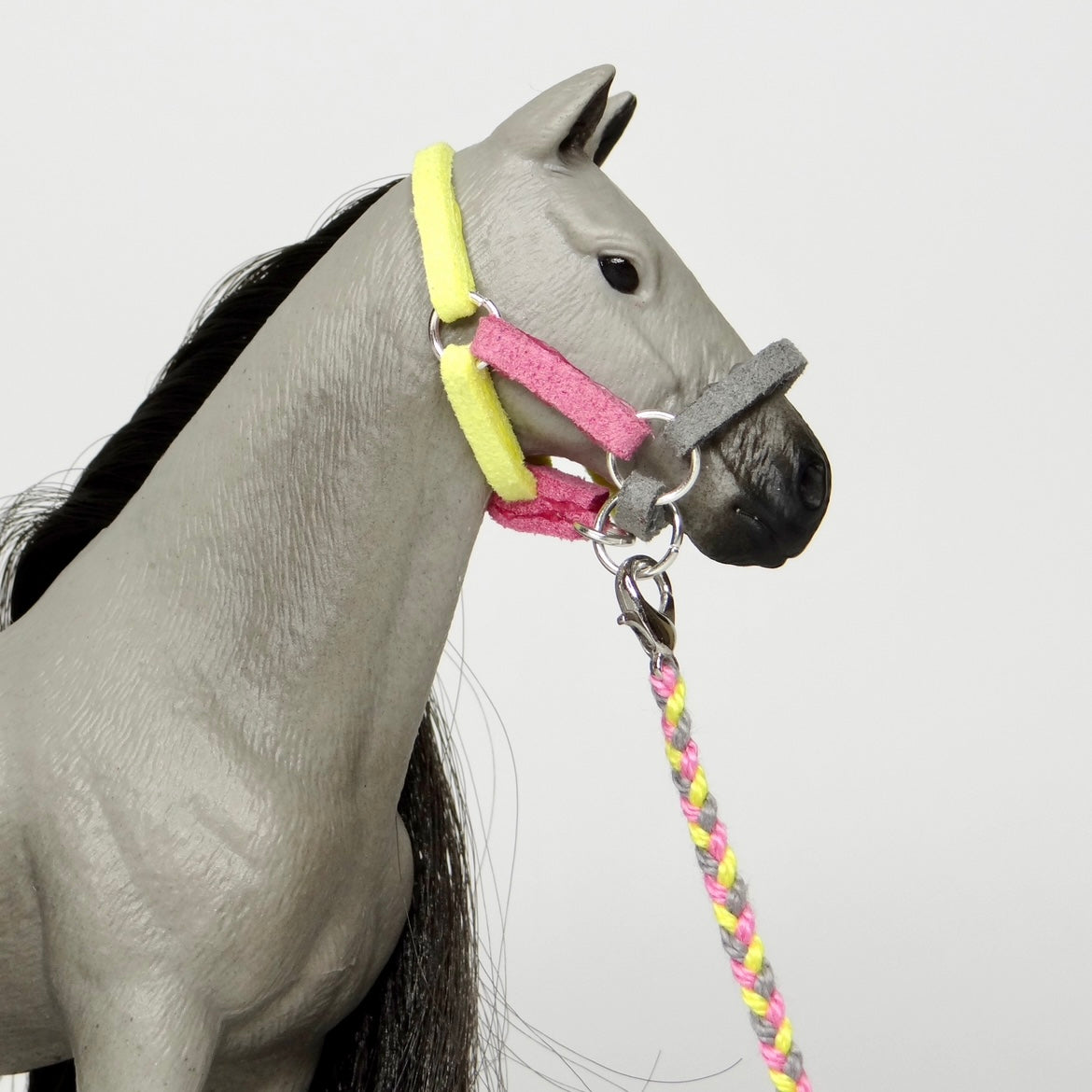 1:24 Three Colour Halter with Braided Lead