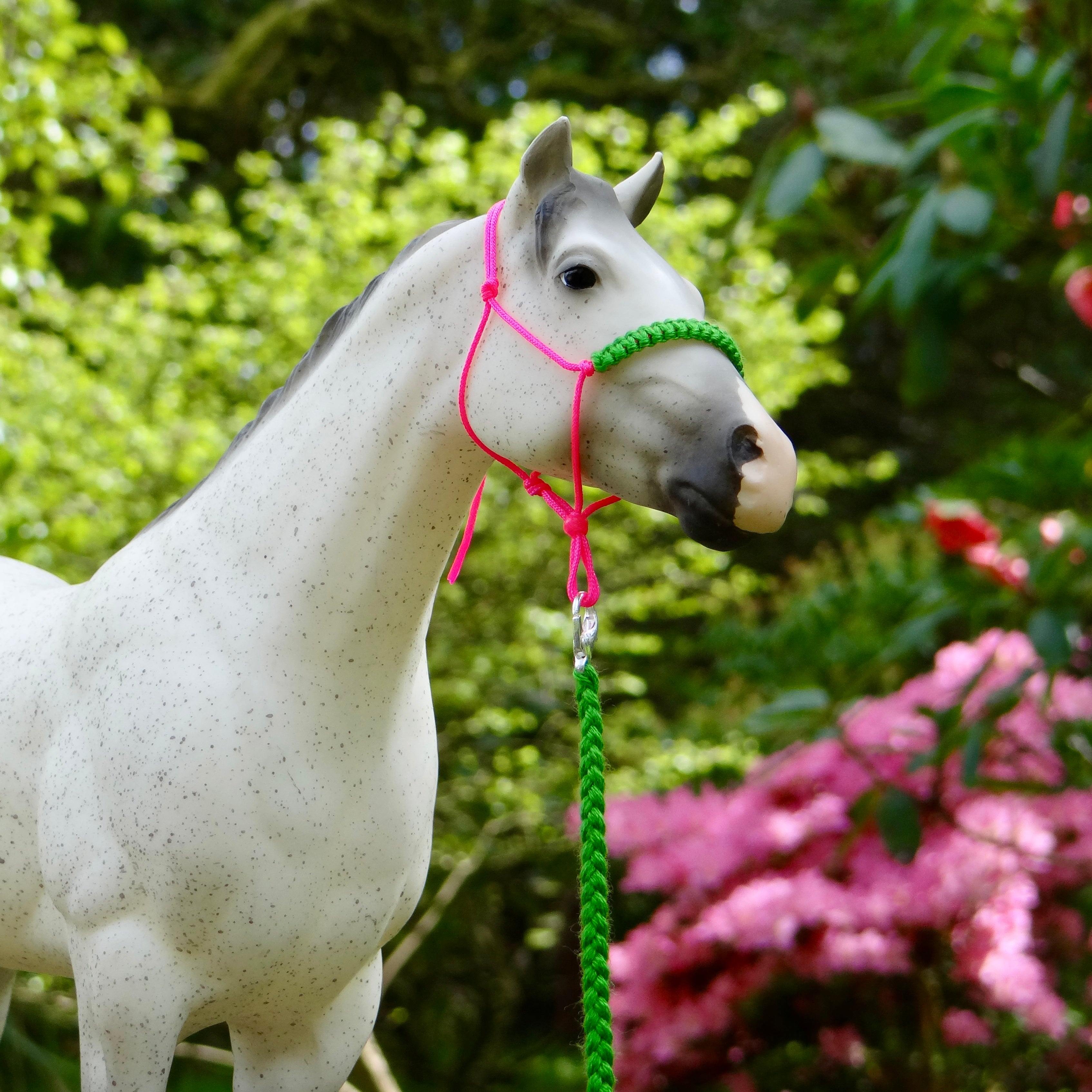 1:9 Rope Halter with Braided Nose/Lead