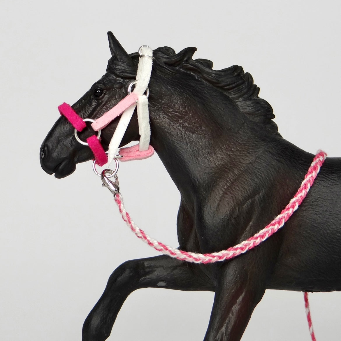 1:24 Multi Colour Halter with Braided Lead