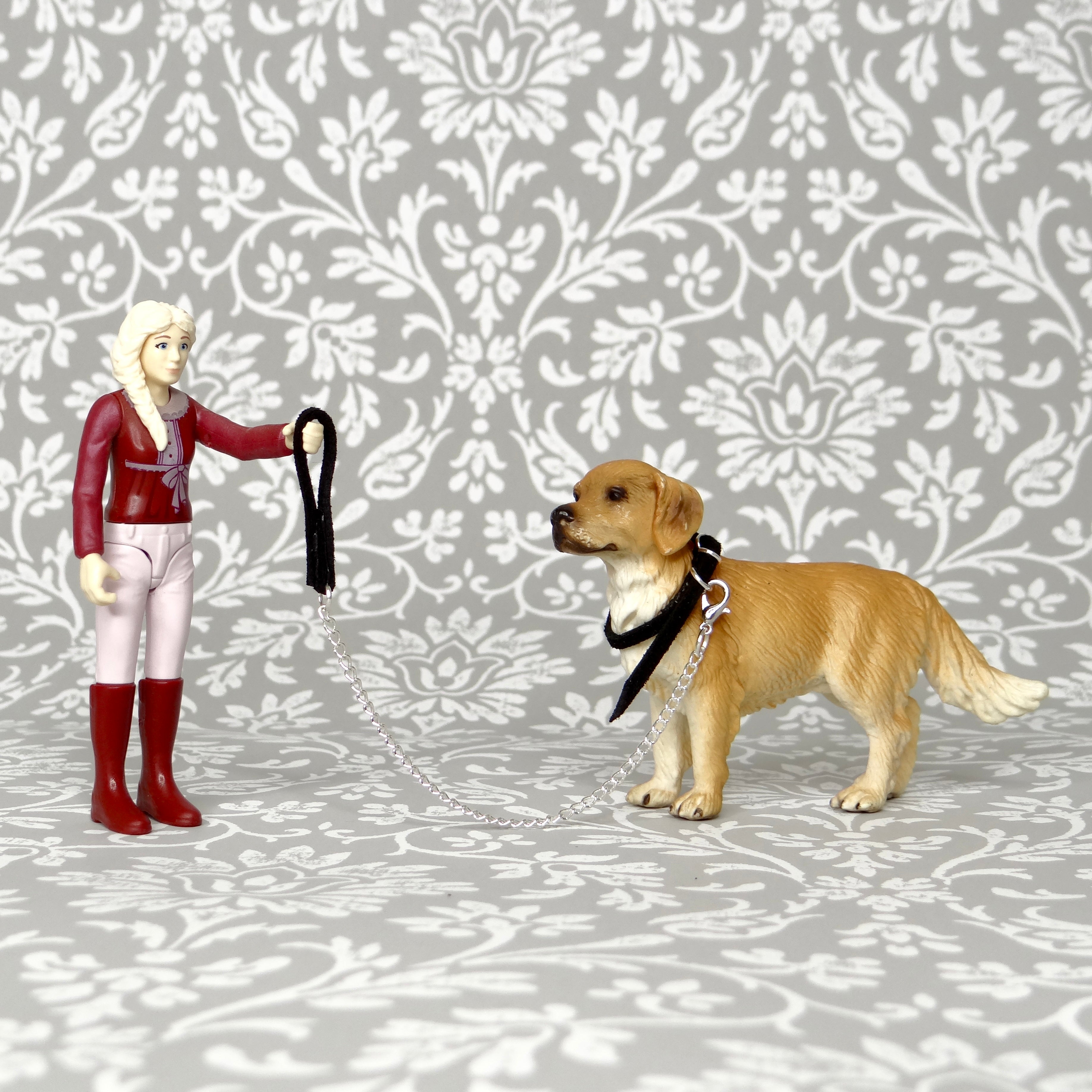1:24 Dog Collar with Chain Lead