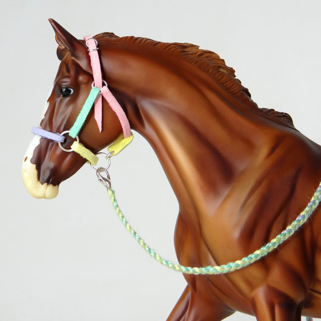 1:9 “Candy Floss” Halter with Lead