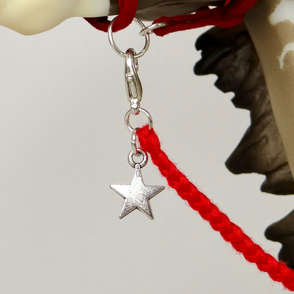 1:9 Halter with Charm
