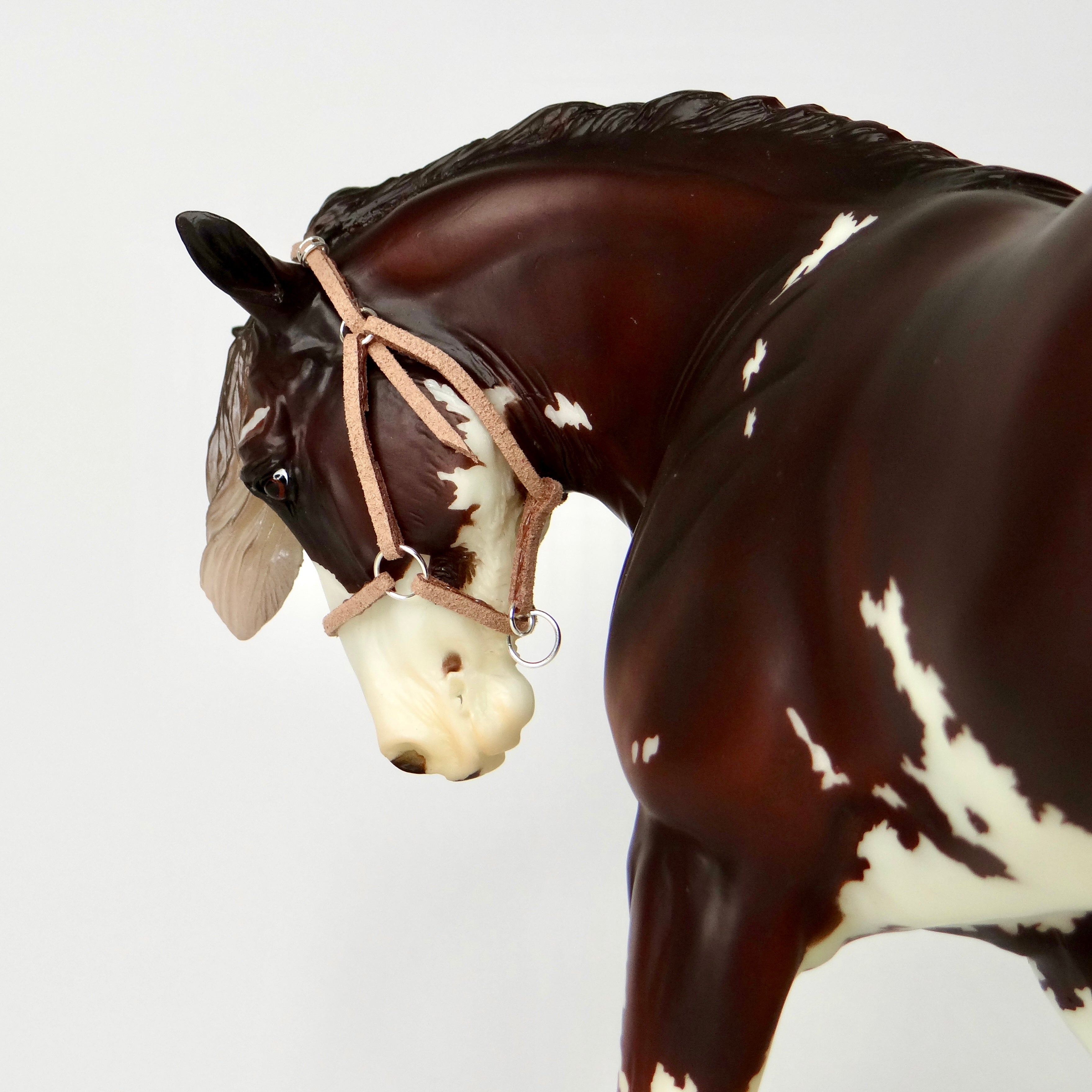 1:9 Halter