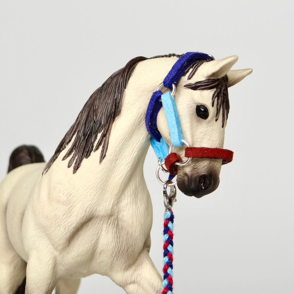 1:24 Three Colour Halter with Braided Lead