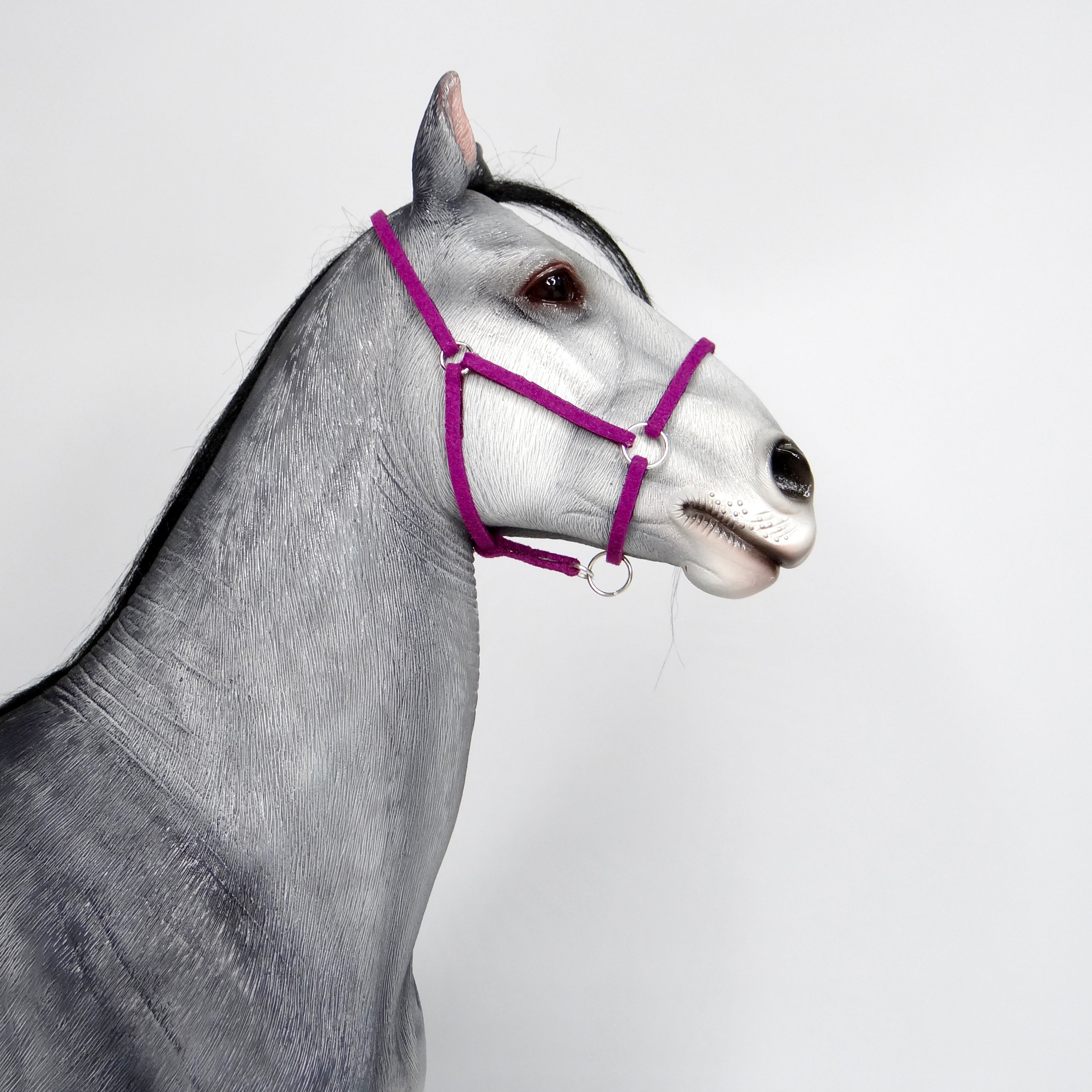 1:6 Halter