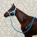 1:9 Turquoise Halter Embroidery Lead