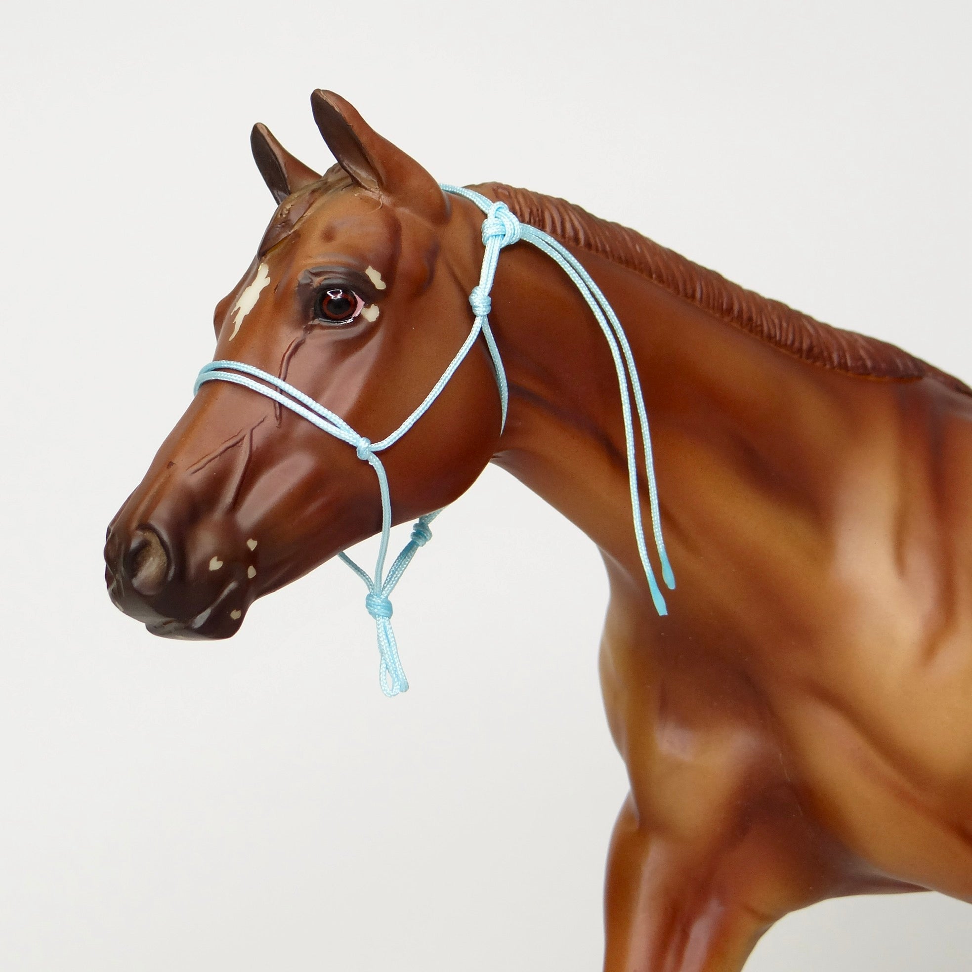 1:9 Rope Halter