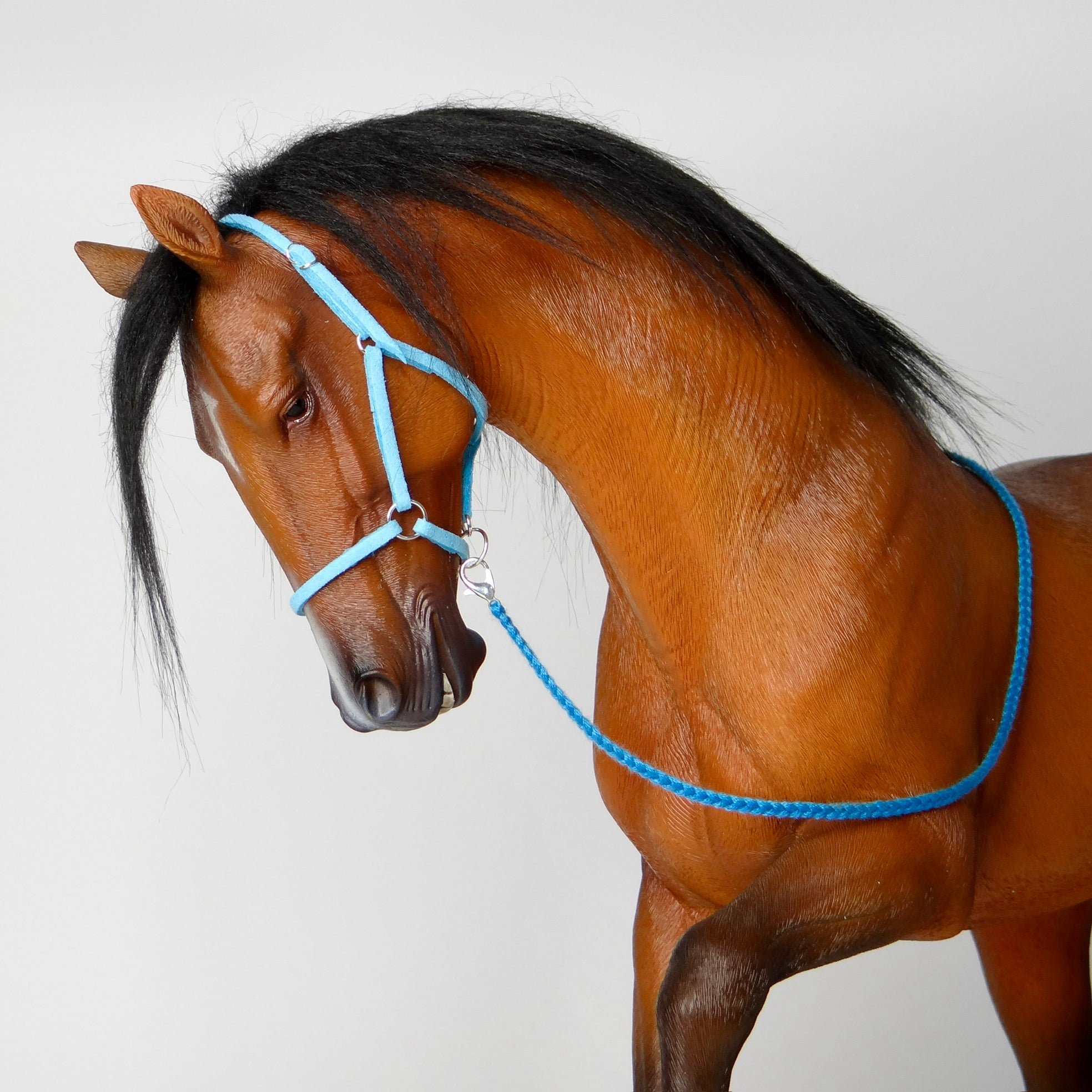 1:6 Turquoise Halter Embroidery Lead