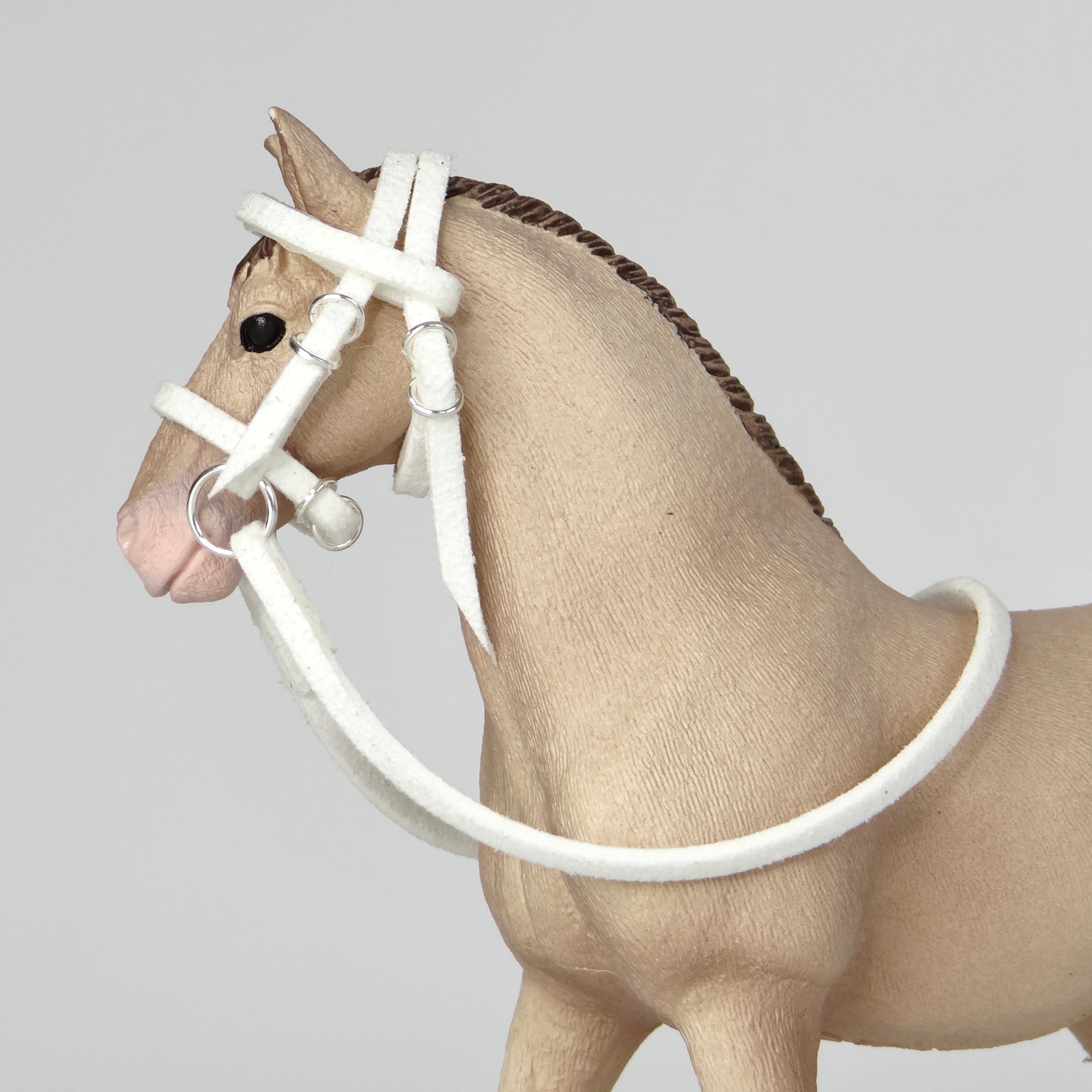 1:24 Bridle