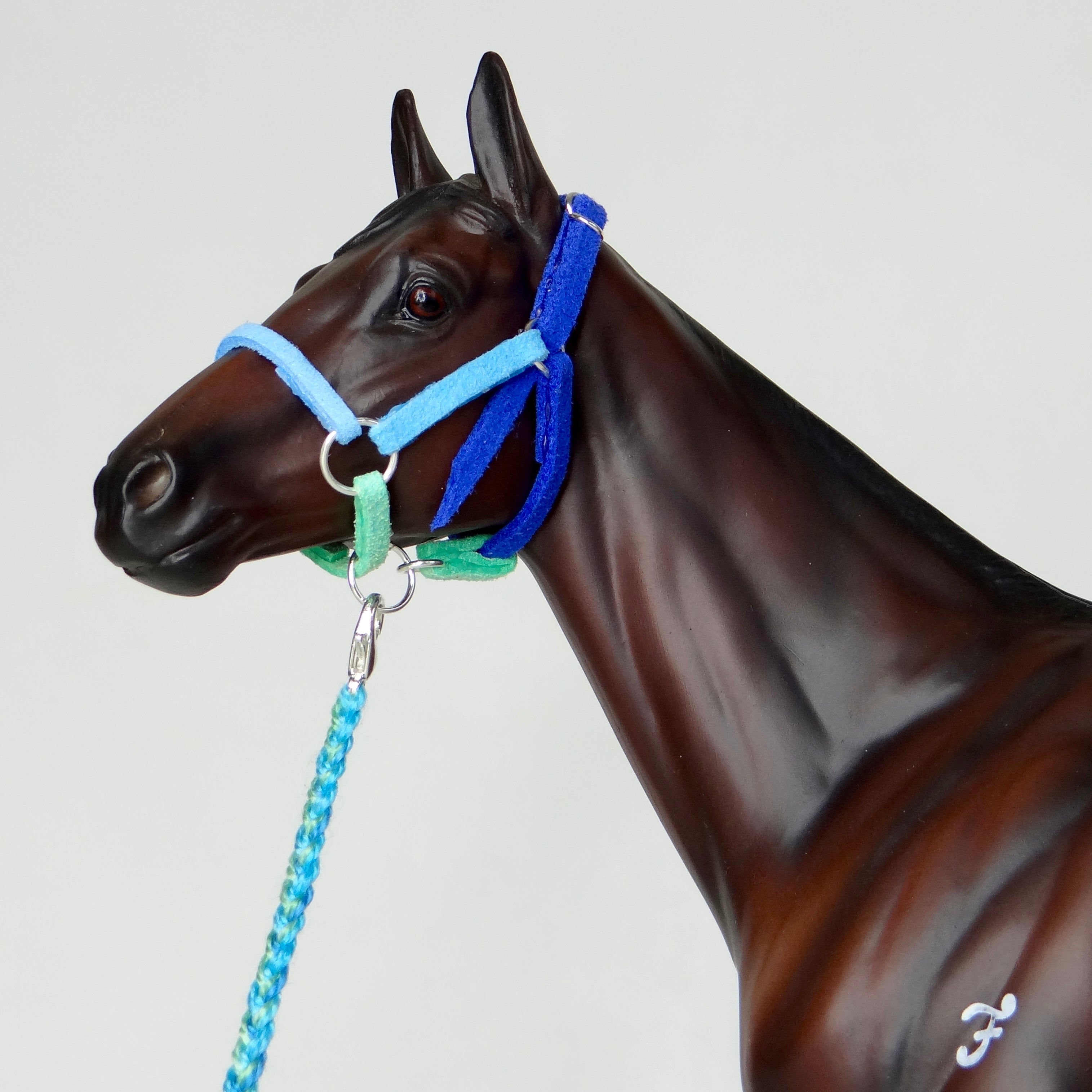 1:9 “Ocean Waves” Halter with Lead