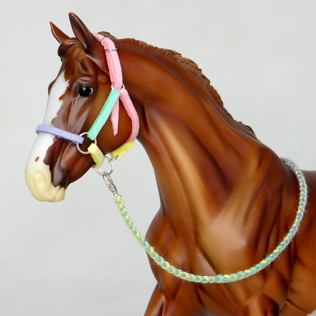 1:9 “Candy Floss” Halter with Lead