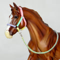 1:9 “Candy Floss” Halter with Lead