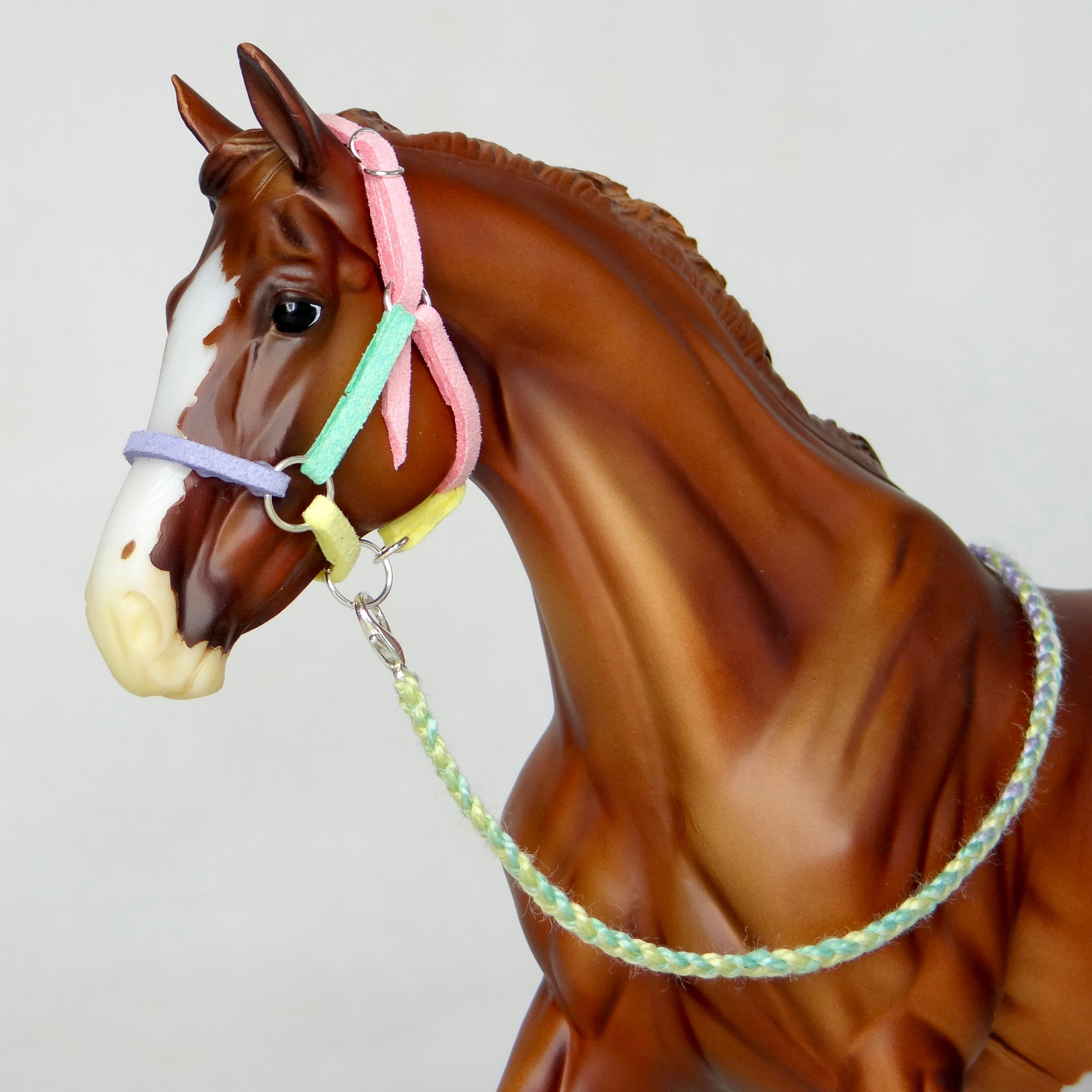 1:9 “Candy Floss” Halter with Lead