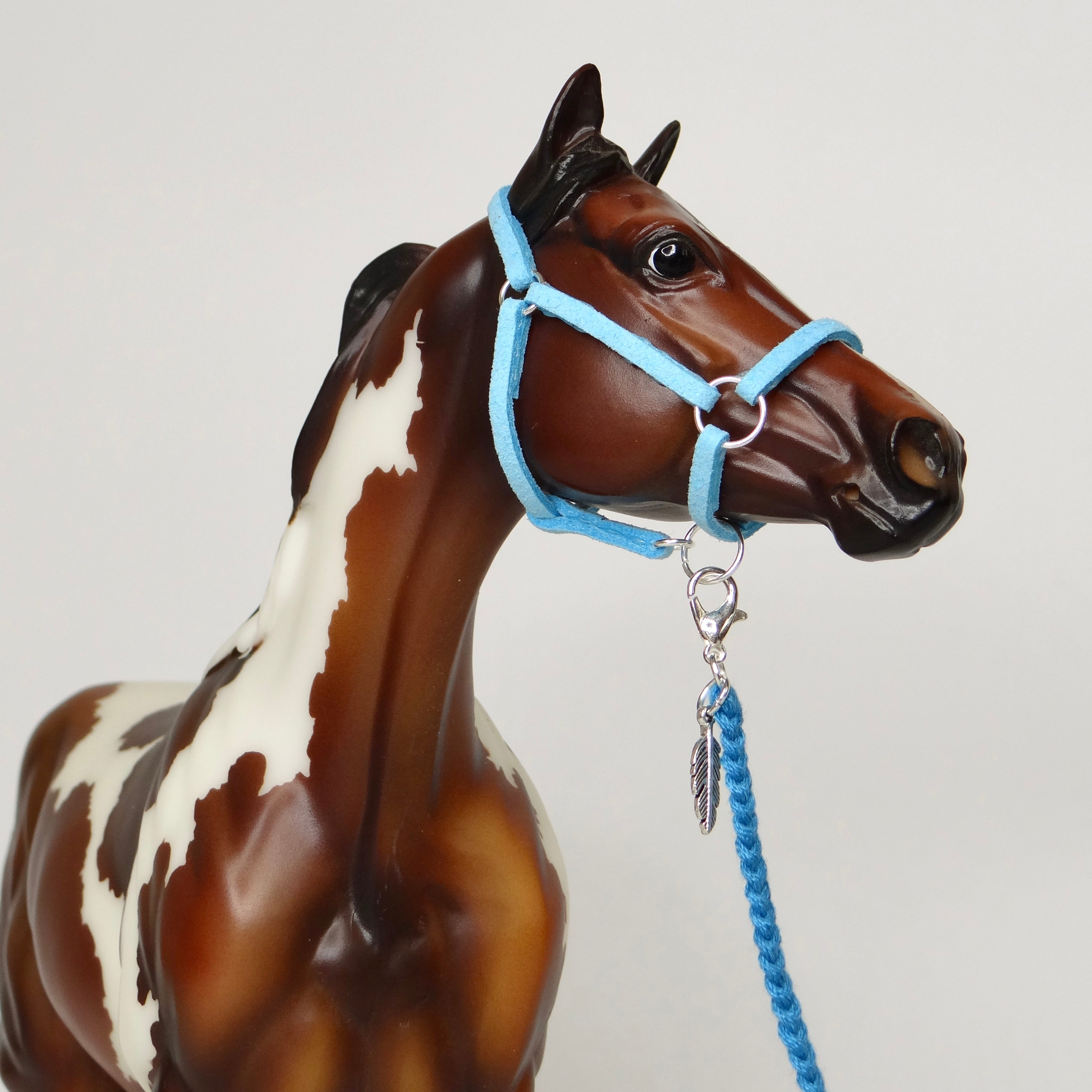 1:9 Halter with Charm
