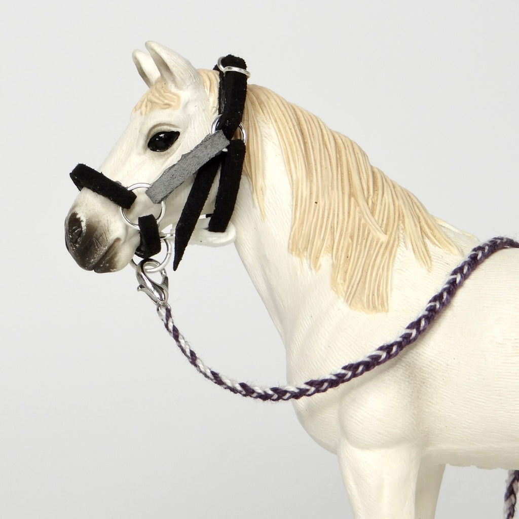 1:24 Multi Colour Halter with Braided Lead