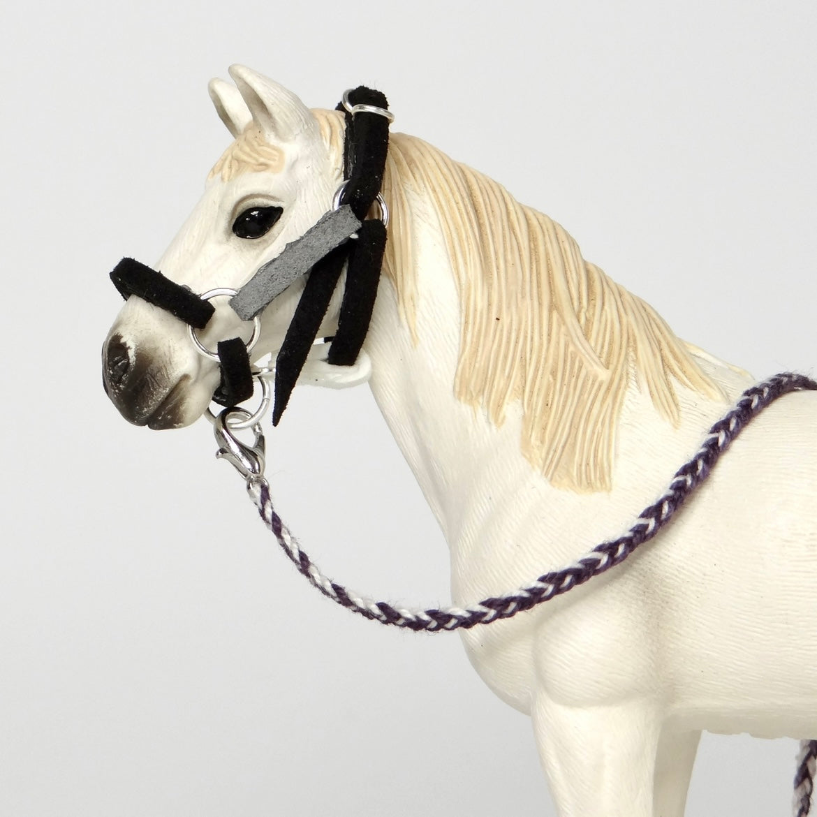 1:24 Multi Colour Halter with Braided Lead