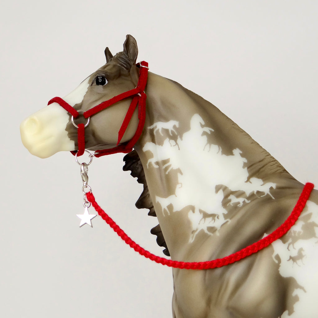1:9 Halter with Charm