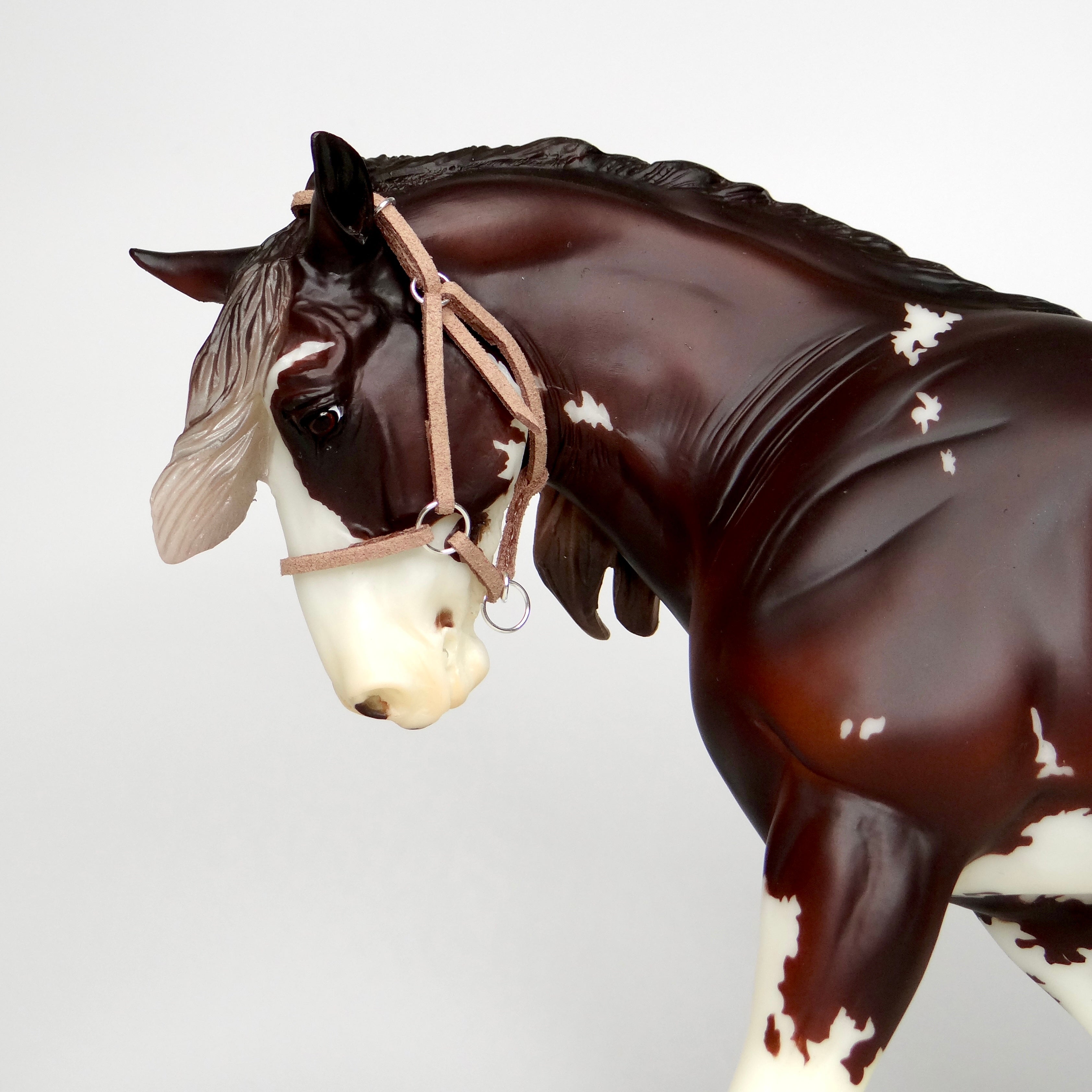 1:9 Halter