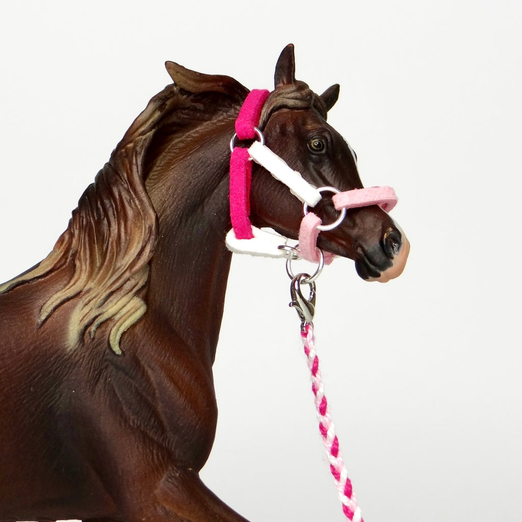 1:24 Three Colour Halter with Braided Lead