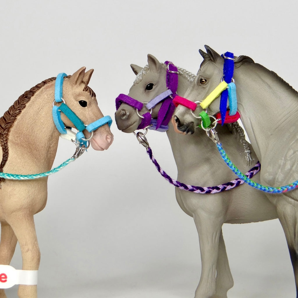 1:24 Multi Colour Halter with Braided Lead