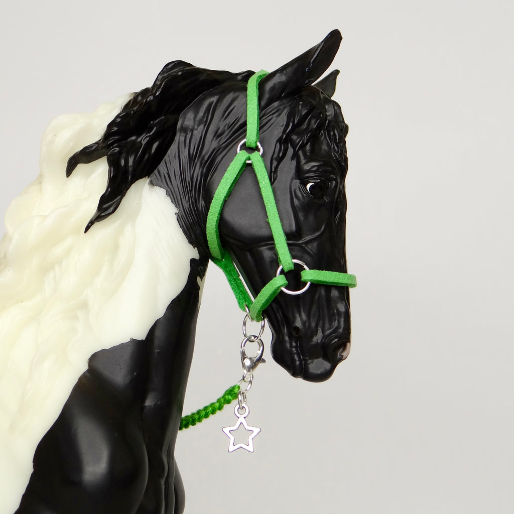 1:9 Halter with Charm