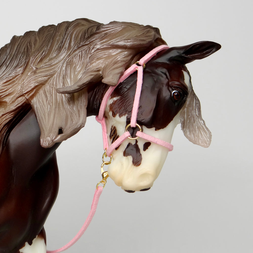 1:9 Halter with Faux Leadrope