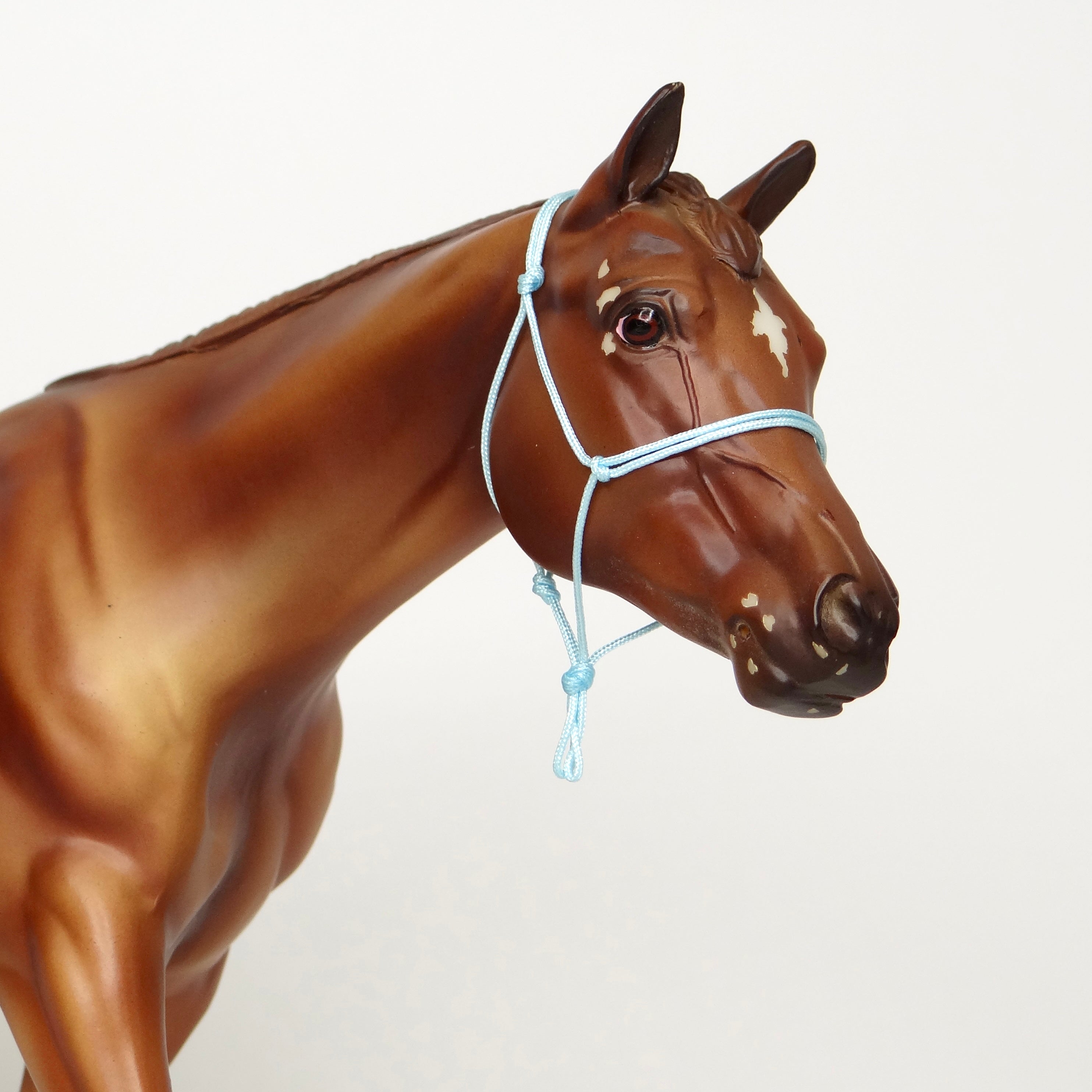 1:9 Rope Halter
