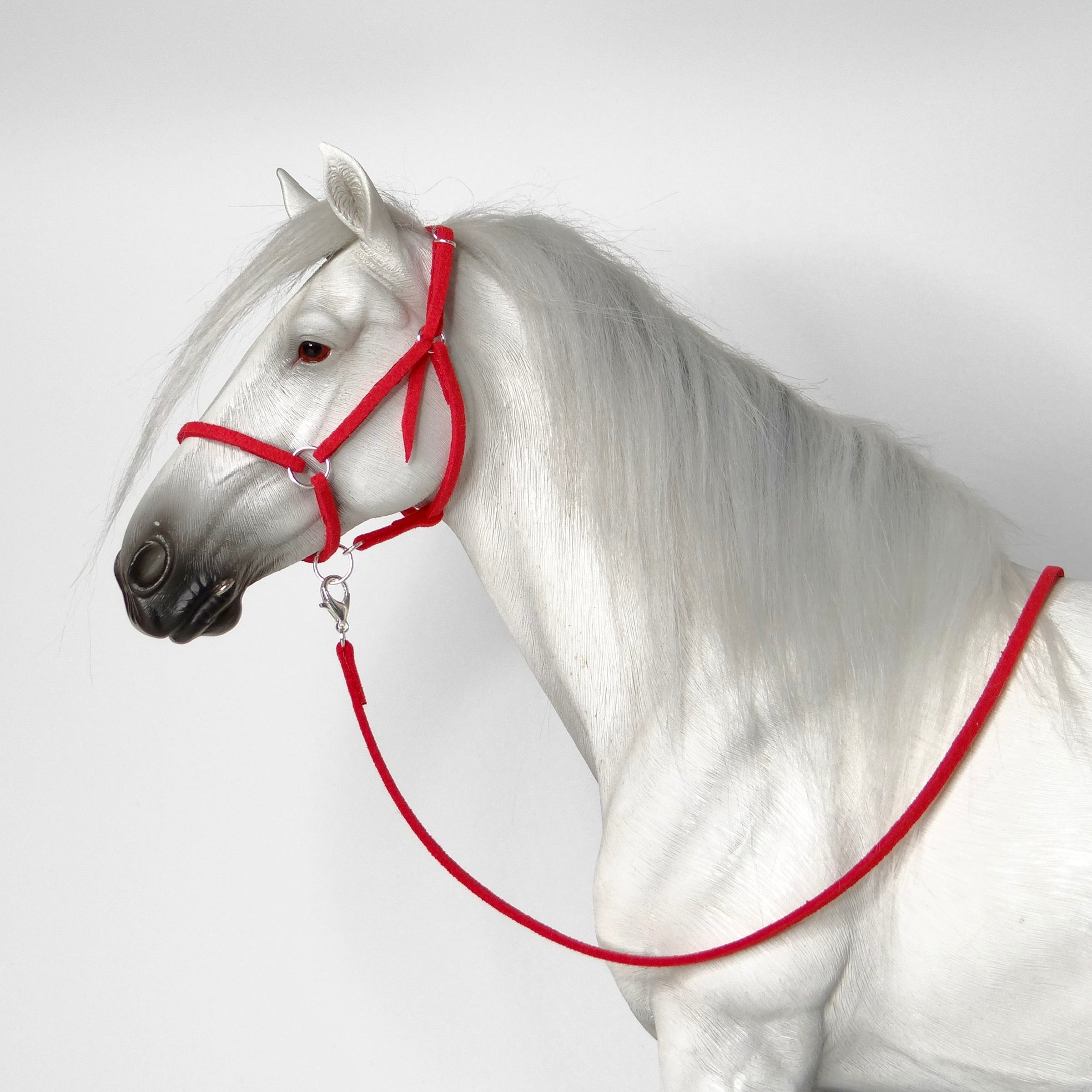 1:6 Halter and Faux Leadrope