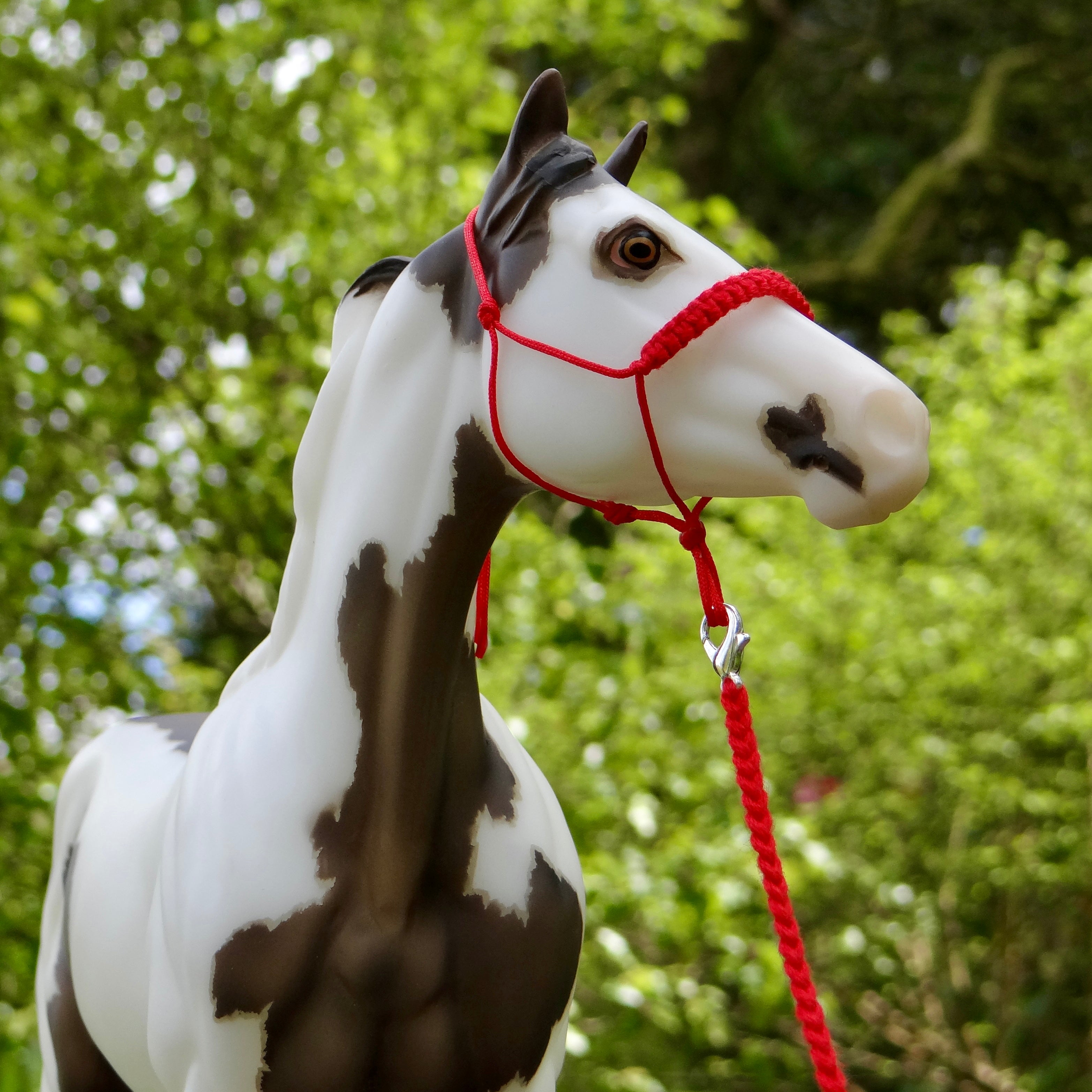 1:9 Rope Halter with Braided Nose/Lead