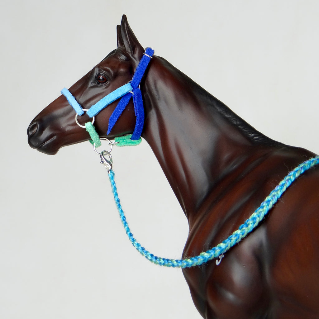 1:9 “Ocean Waves” Halter with Lead