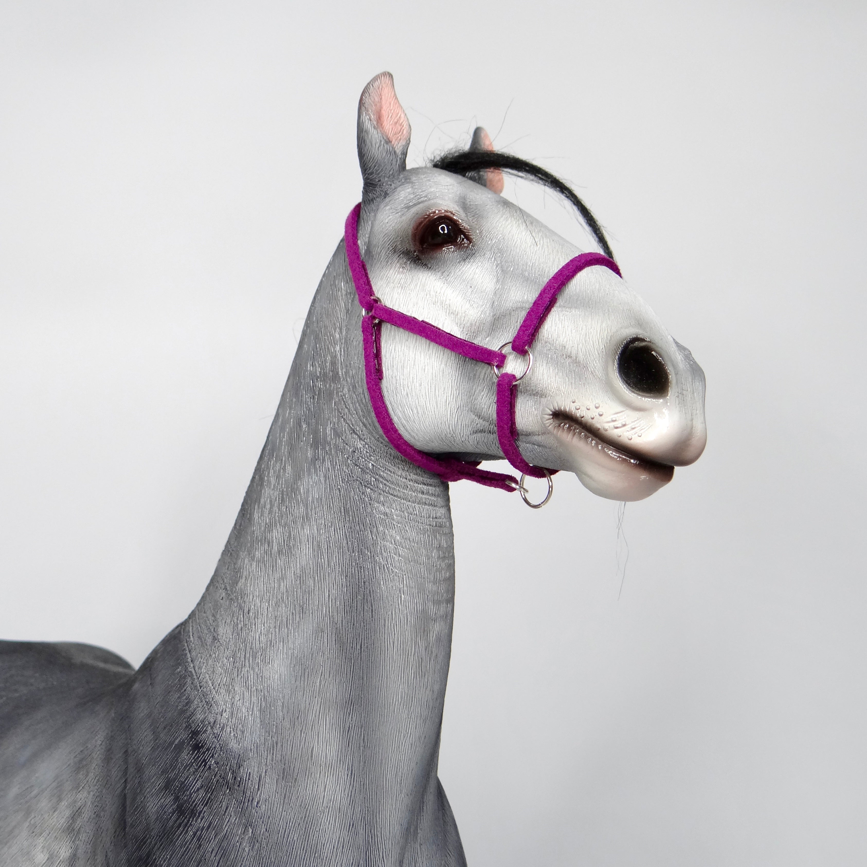 1:6 Halter