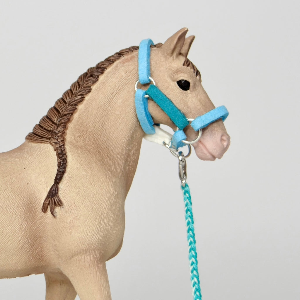 1:24 Multi Colour Halter with Braided Lead