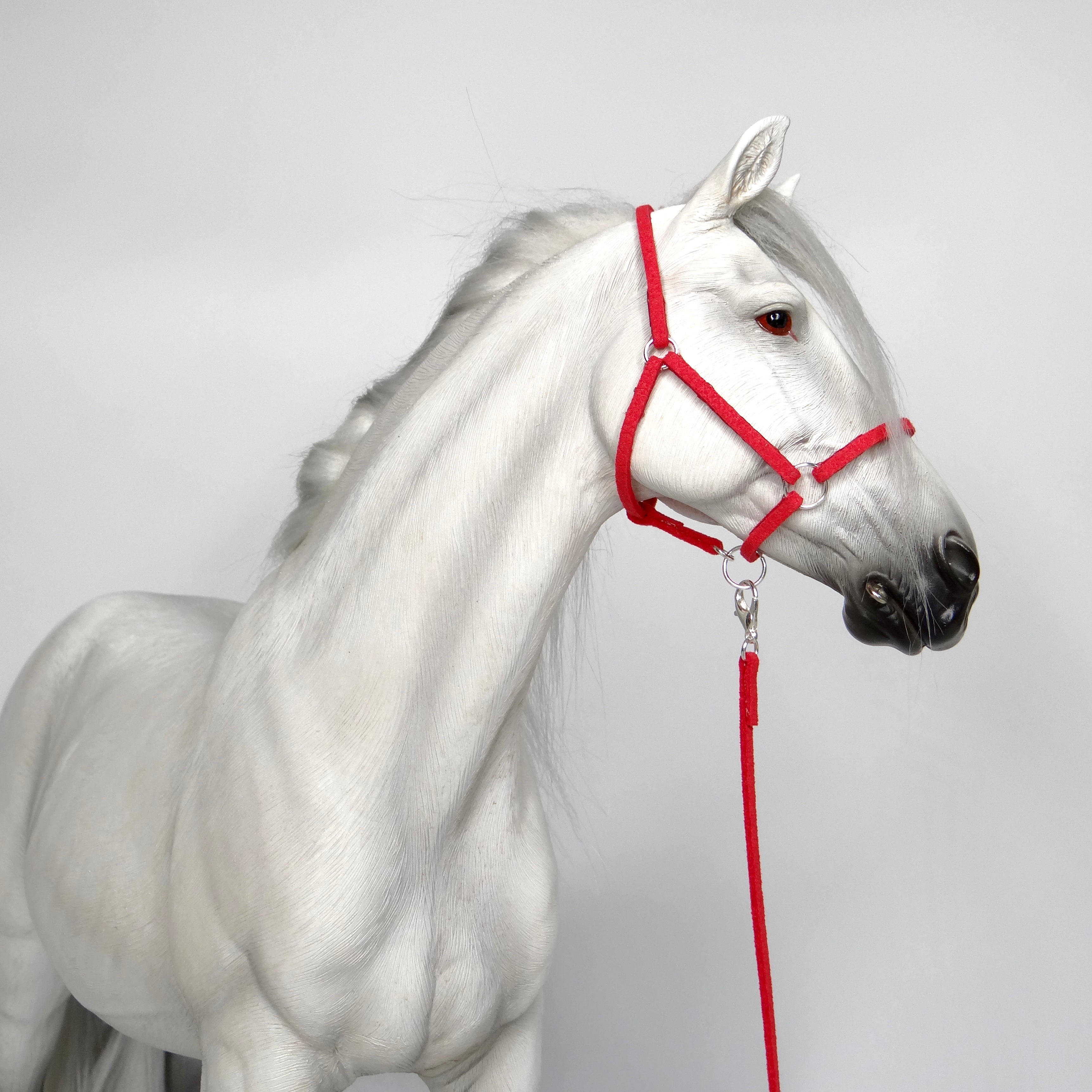 1:6 Halter and Faux Leadrope