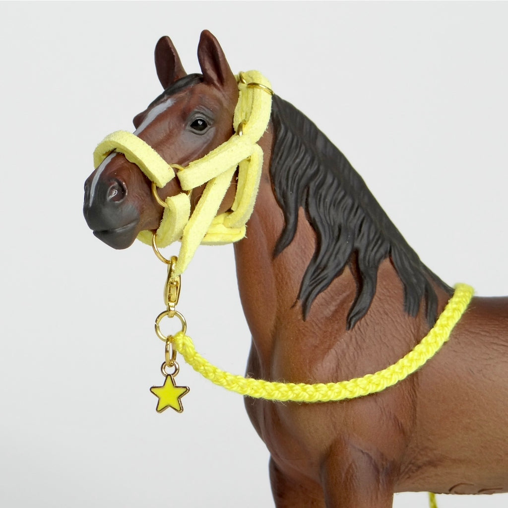 1:24 Halter with Braided Lead Star Charm