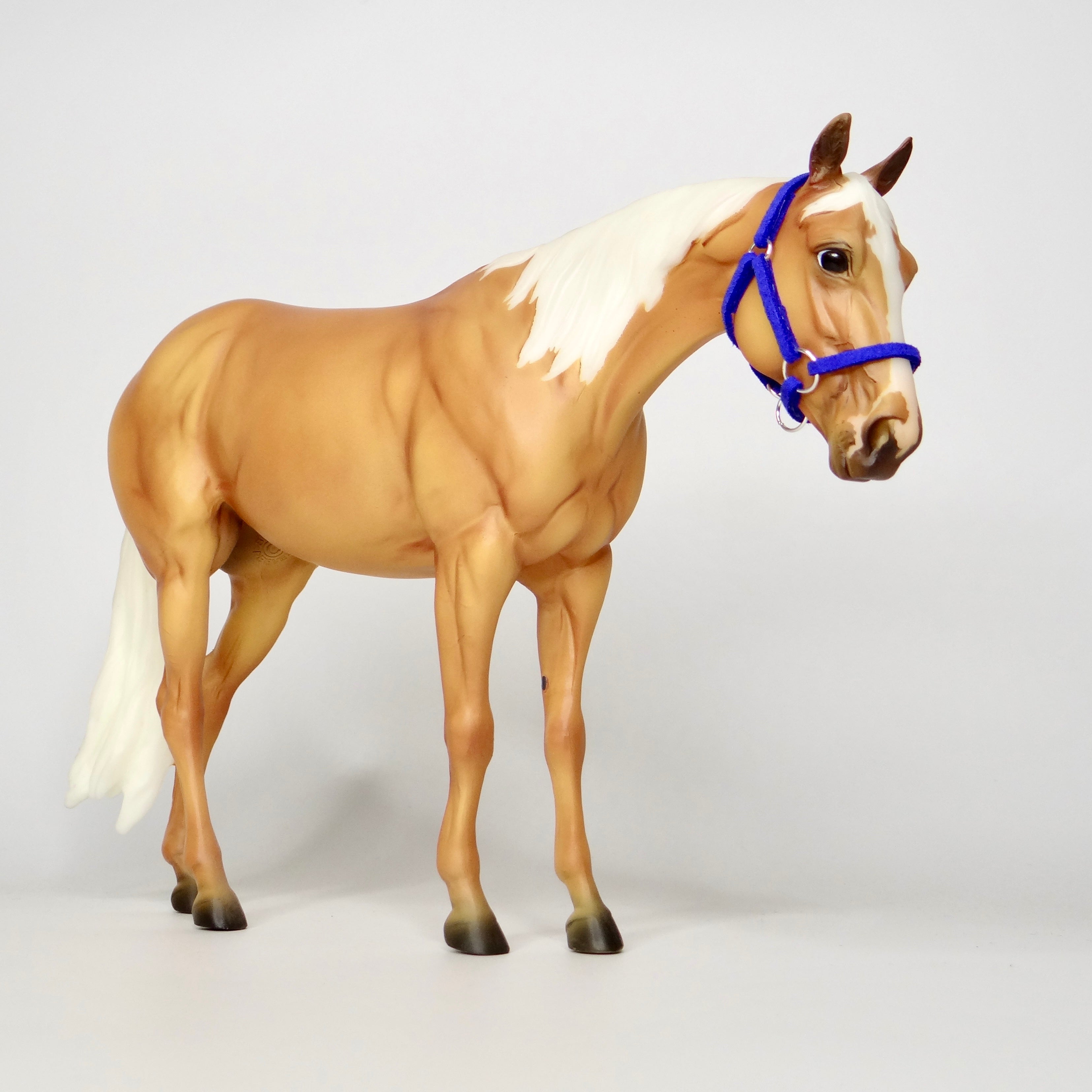 1:9 Halter