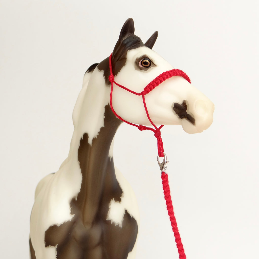 1:9 Rope Halter with Braided Nose/Lead
