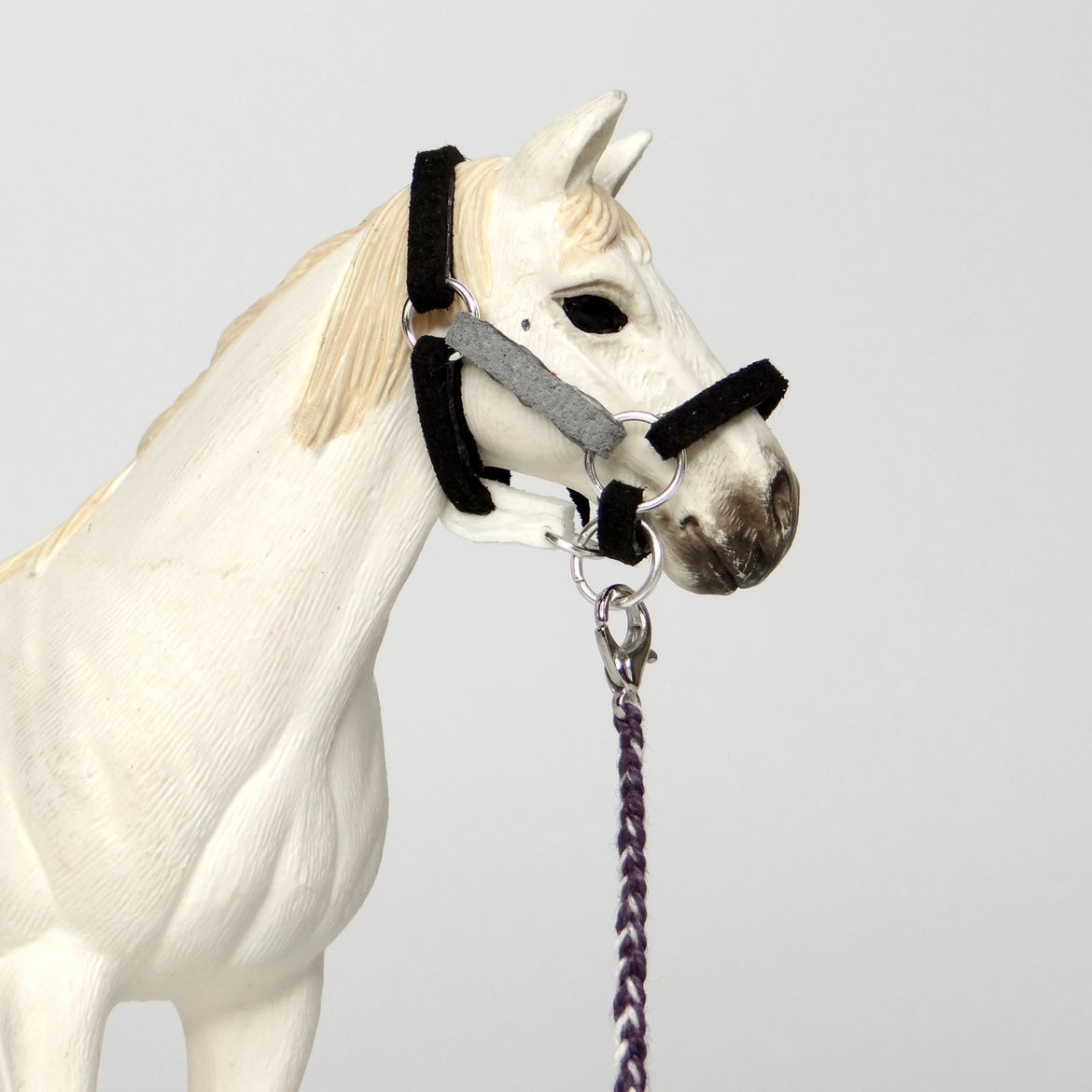 1:24 Multi Colour Halter with Braided Lead