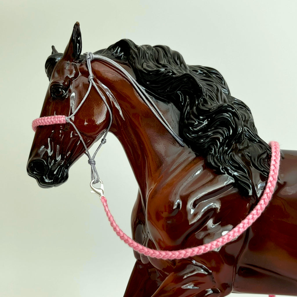 1:9 Rope Halter with Braided Nose/Lead